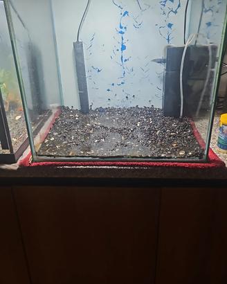 Aquarium 