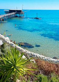Vacanze costa dei trabocchi animali ammessi