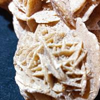 Molto Grande E Definita Rosa Del Deserto.