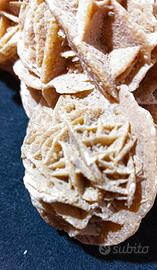 Molto Grande E Definita Rosa Del Deserto.