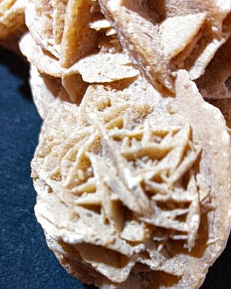 Molto Grande E Definita Rosa Del Deserto.