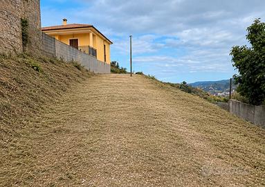 Giardinaggio e manutenzione del verde Reggio cala