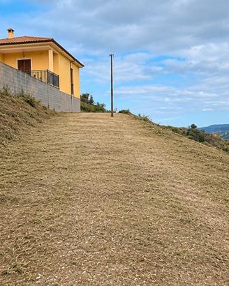 Giardinaggio e manutenzione del verde Reggio cala