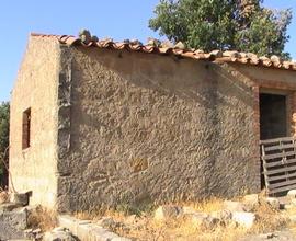 Terreno agricolo con rudere