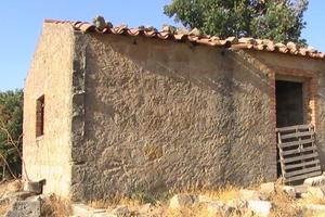 Terreno agricolo con rudere