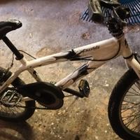 BMX Freestyle Professionale