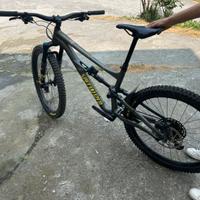 Specialized Status 2020