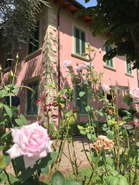 Villa libera per comics