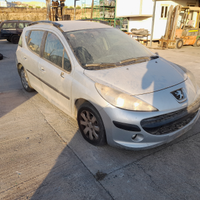 Peugeot 207 sw 1.4 benz 16v gas 08 ricambi