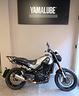 benelli-leoncino-500-trail-abs-anno-2020-km-62477