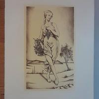 Cartella contenente  litografia