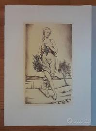 Cartella contenente  litografia