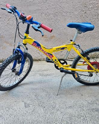 Bicicletta Bottecchia