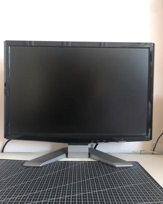 Schermo pc Acer da 19