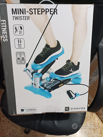 Mini-stepper Twister