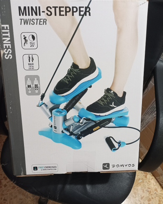 Mini-stepper Twister