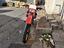 Immagine 6