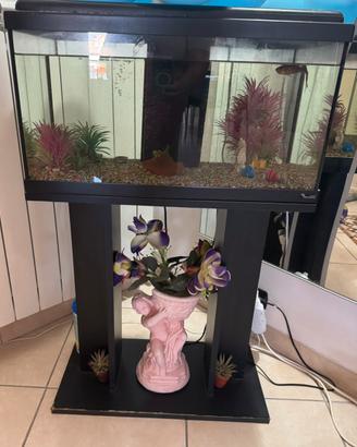 Aquario