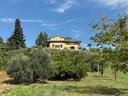 casa-singola-soluzione-indipendente-rapagnano