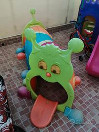 bruco feber