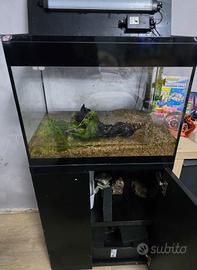 acquario askoll led L