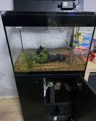 acquario askoll led L