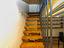Immagine 11