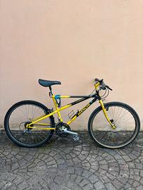 Bici Bianchi modello Pholcus