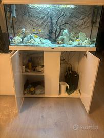 Acquario completo 250lt