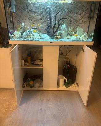 Acquario completo 250lt