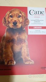 Il Cane Amarlo capirlo educarlo #2