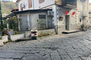 Negozio adibito ad attività commerciale