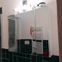 Specchiera bagno contenitore