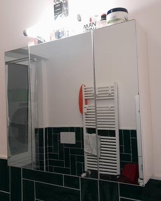 Specchiera bagno contenitore