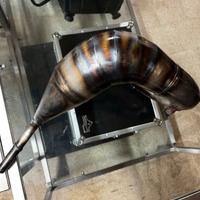 Sarico top performance