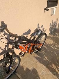 NON DISPONIBILE - BICICLETTA VICINI
