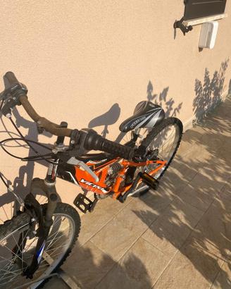 NON DISPONIBILE - BICICLETTA VICINI