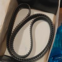 kit cinghia di distribuzione 