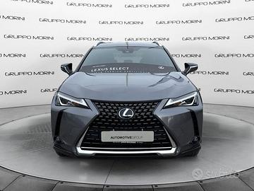 Lexus UX 250h 2.0 Business 2wd cvt