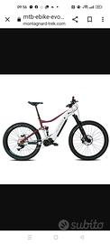 E bike Alpek Evoque 