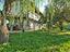 Immagine 25