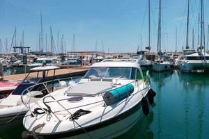 Tour giornalieri in barca con skipper