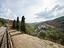 Immagine 19