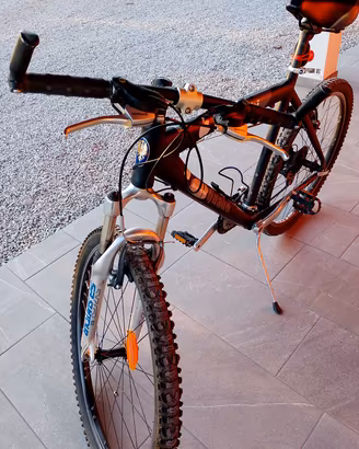  bicicletta marca bianca