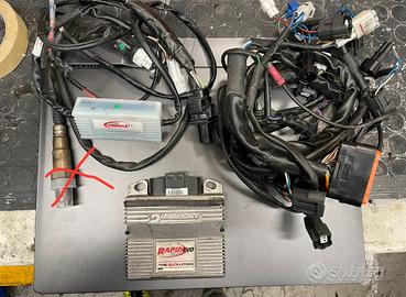 Rapid Bike Evo + modulo My Tuning Bike