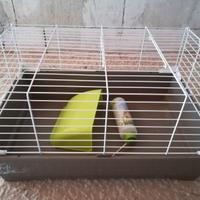 Casetta per coniglio