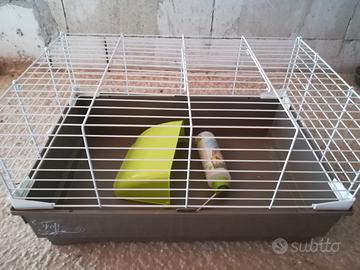 Casetta per coniglio