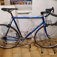 Pinarello Treviso telaio 56 x 56