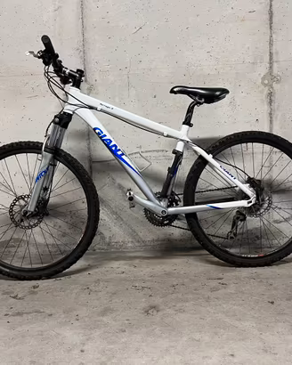Giant Terrago 3