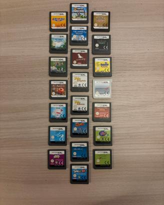 22 Schedine Nintendo DS